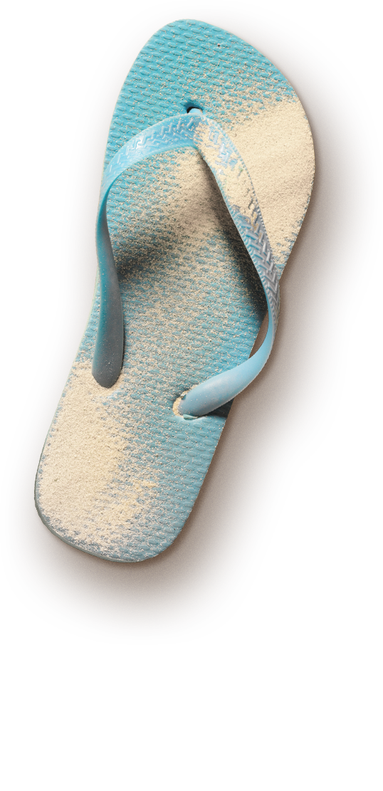 Flip-Flop